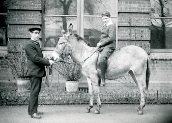 Eläintenhoitaja johtaa aasia, jolla poika ratsastaa, Lontoon eläintarha, kesäkuu 1913.